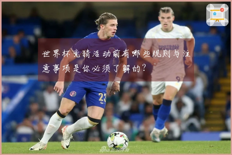 世界杯竞猜活动前有哪些规则与注意事项是你必须了解的？
